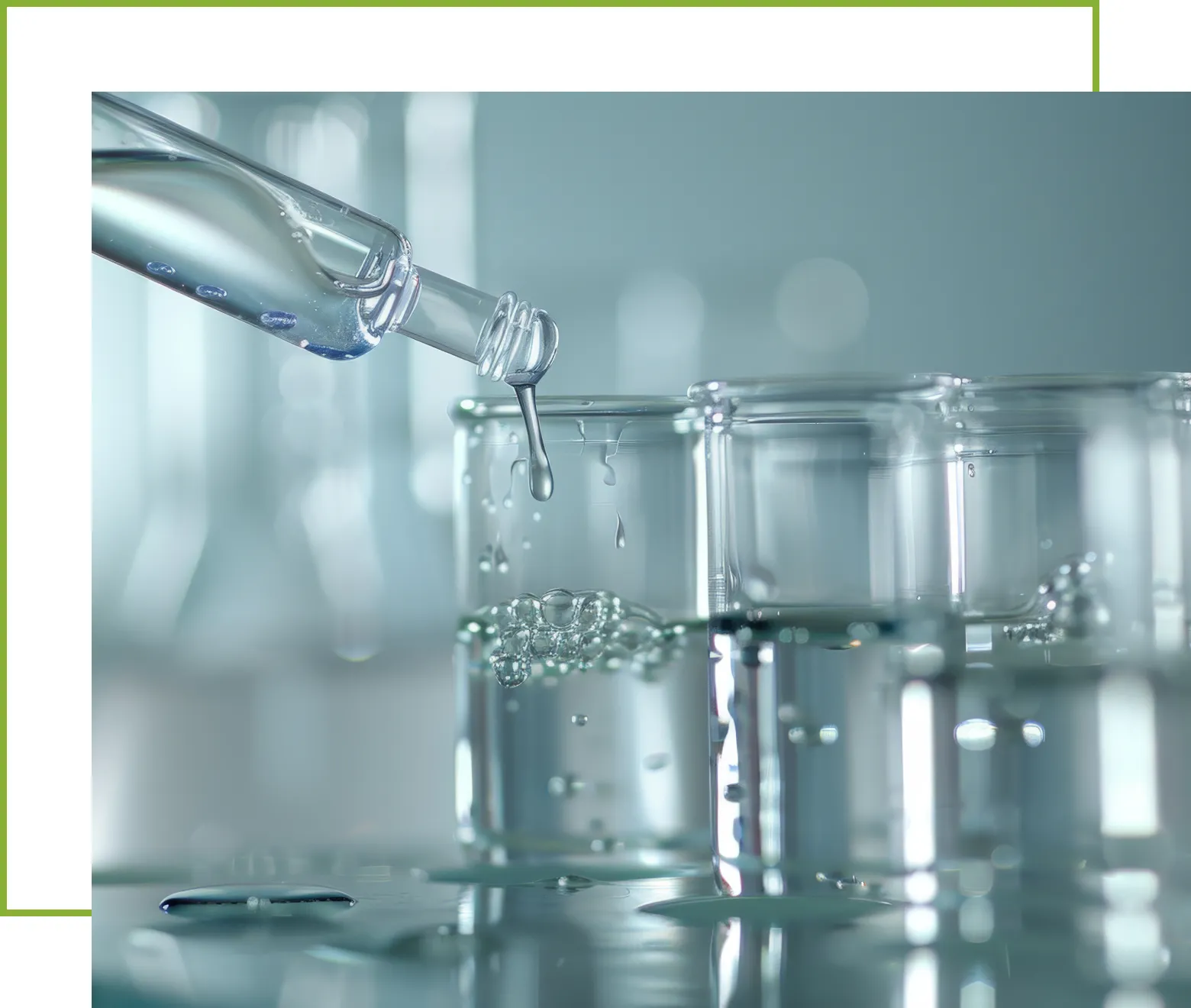El creciente atractivo de los aceites naturales en el bienestar moderno
