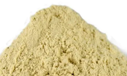 Gluten de trigo vital