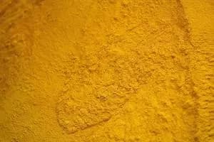Harina de gluten de maíz (60% de proteína mínima) - Indonesia