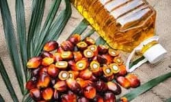 Crude Palm Kernel Olein