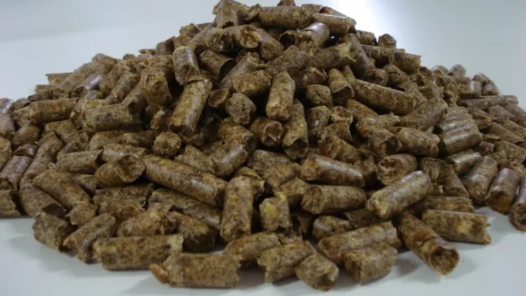 Pulpa de cítricos